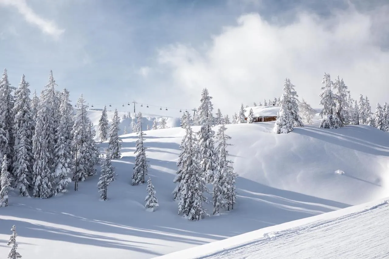 Apartments Niederseer Saalbach-Hinterglemm 0*,  Österreich